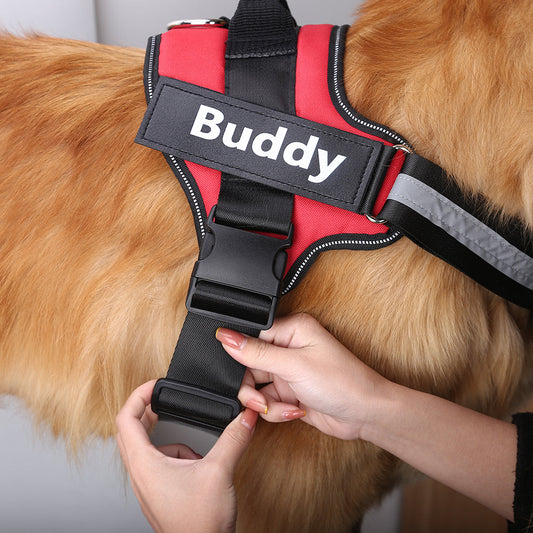 Personalized Breathable Pet Harness - FREE TODAY